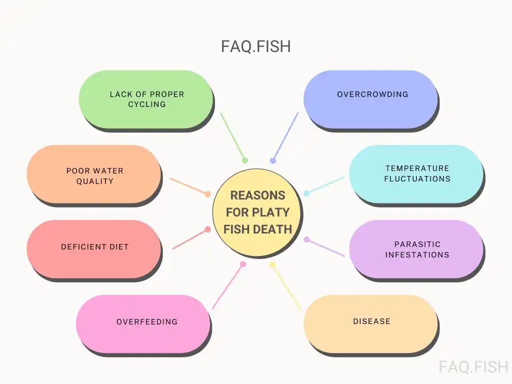 Reasons for platy fish death mind map illustration