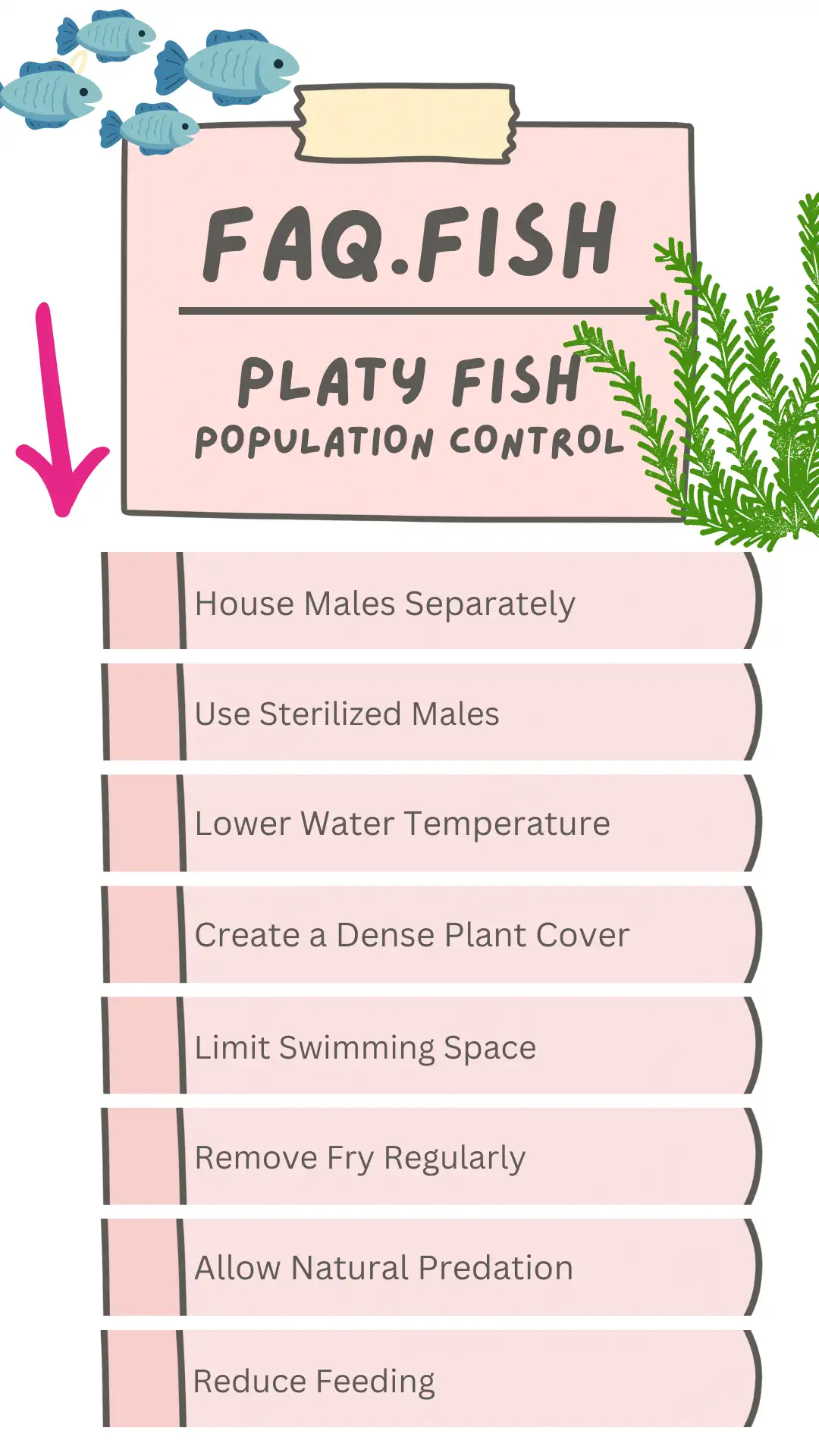 Platy fish polulation control techniques