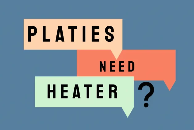 Without Water Heaters, Can Platies Live a Healthy Life? Answered