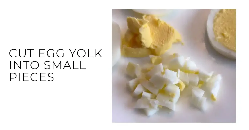 Egg yolk cut into small pieces for betta fish fry
