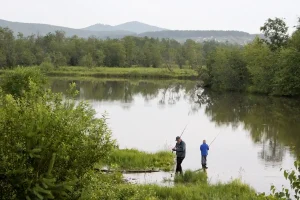 How Much is a Freshwater Fishing License? Find Out