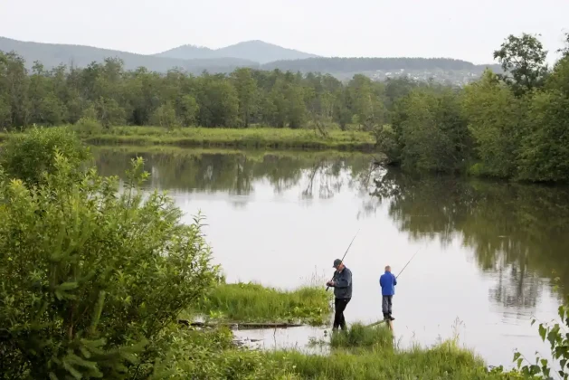 How Much is a Freshwater Fishing License? Find Out