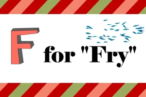 The Origin of the Term “Fry” for Baby Fish