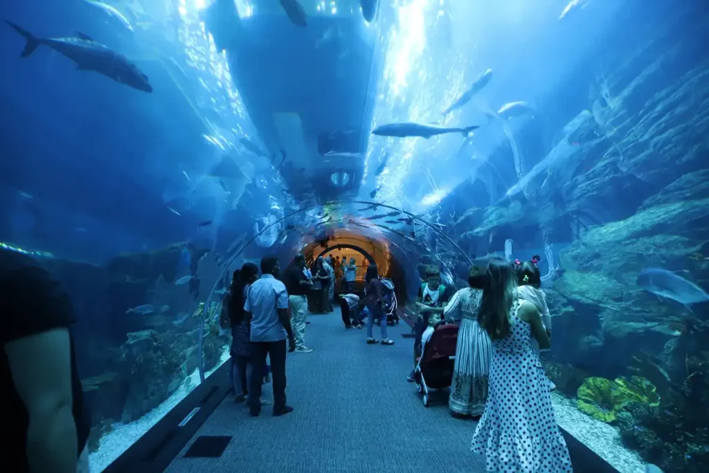Inside large aquarium exhibit