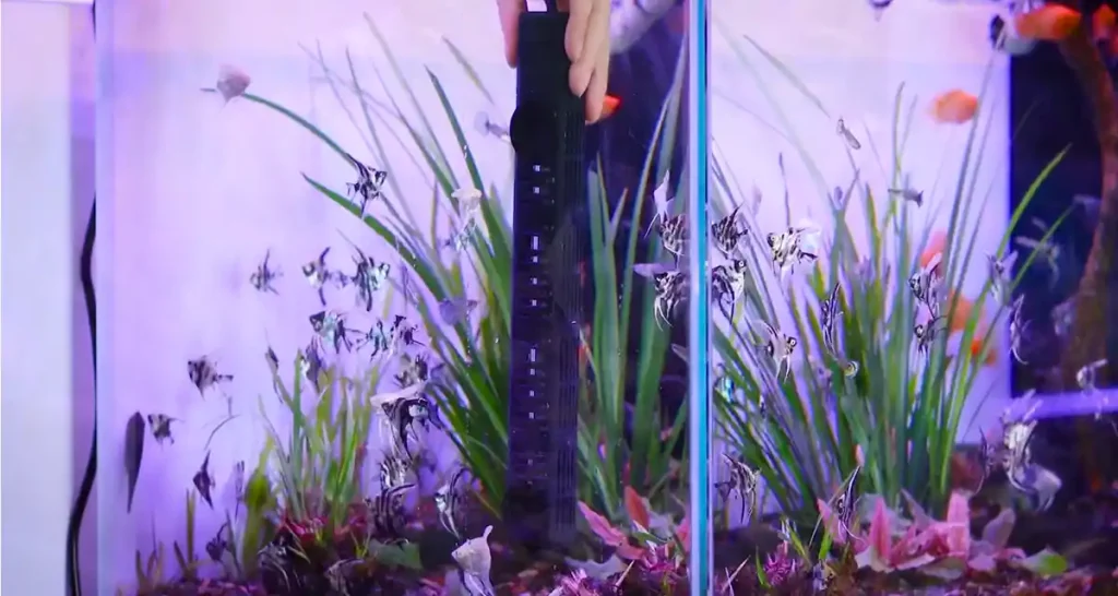 Attaching a heater to an aquarium