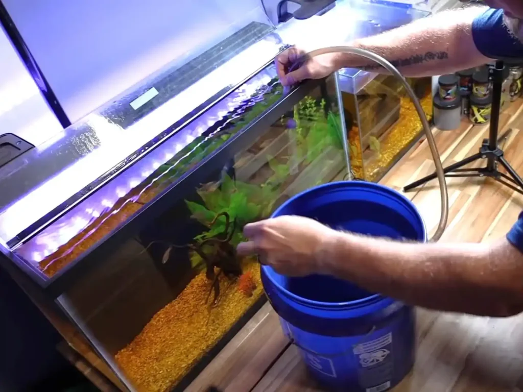 Changing water from a fishtank