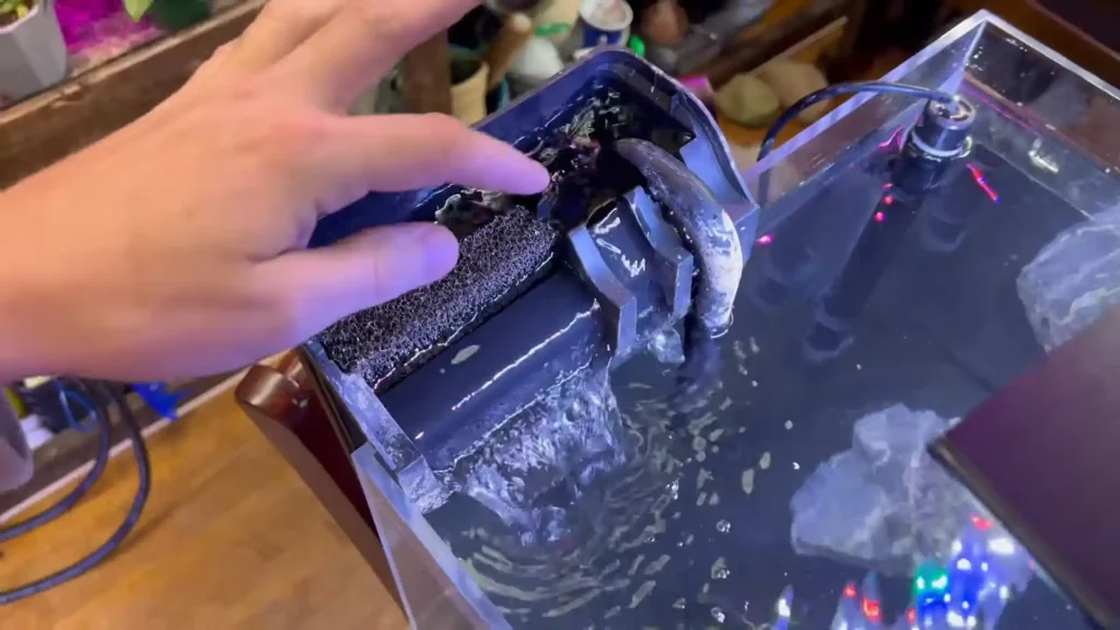 Filter of an aquarium