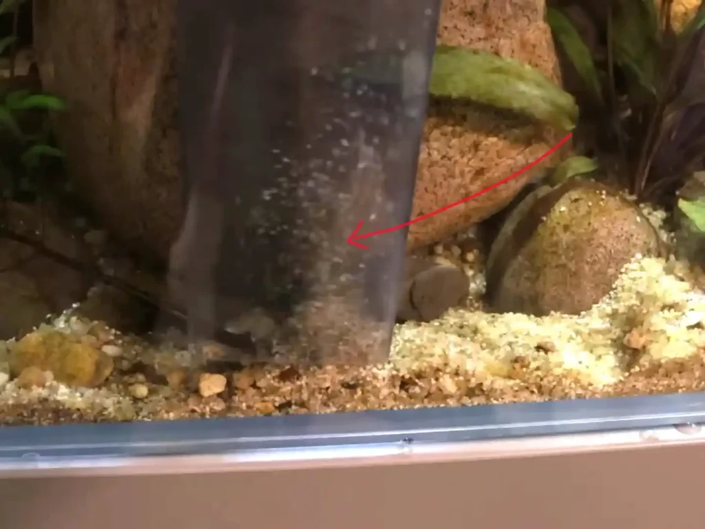 Sand cleaning in action