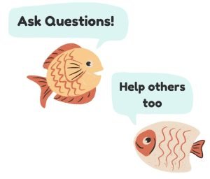 FAQ.Fish moto